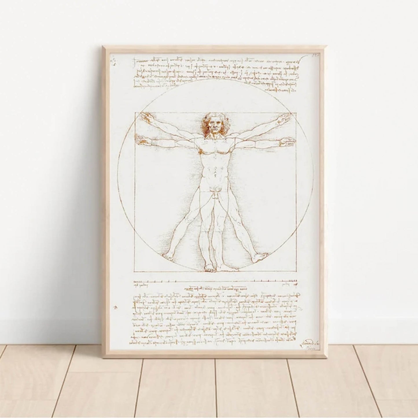 Leonardo da Vinci's Vitruvian Man, 152