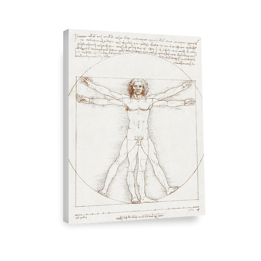 Leonardo da Vinci's Vitruvian Man, 152