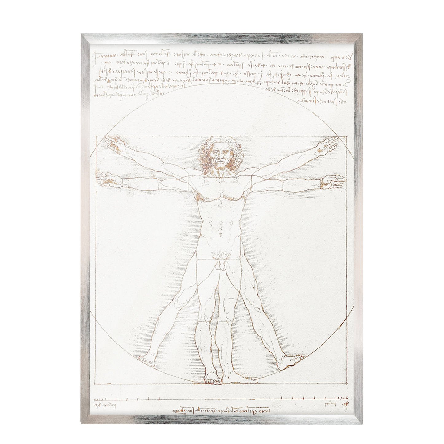 Leonardo da Vinci's Vitruvian Man, 152