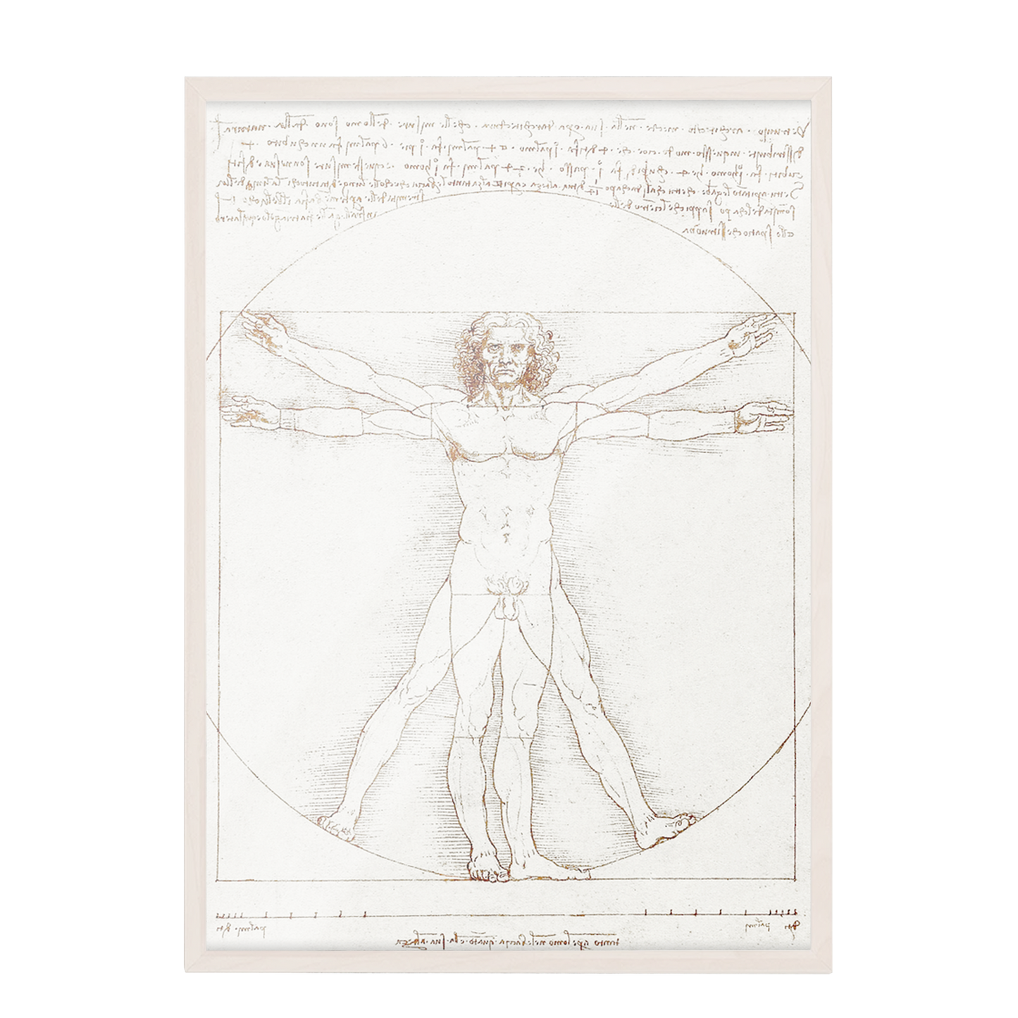Leonardo da Vinci's Vitruvian Man, 152