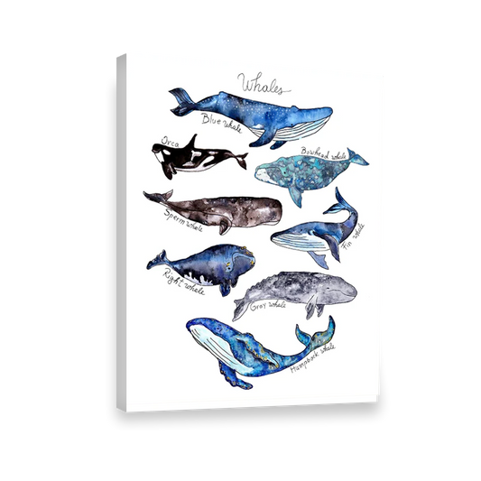 Acuarela Ballenas Mar Azul