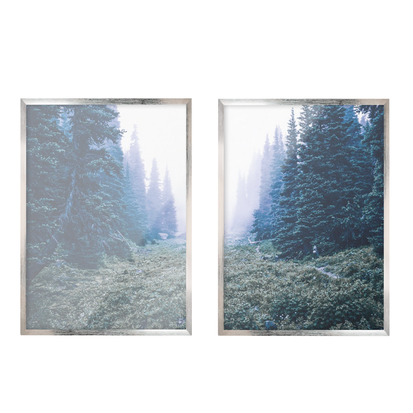 Fotografía forestal, Arte mural de abetos, 2 piezas