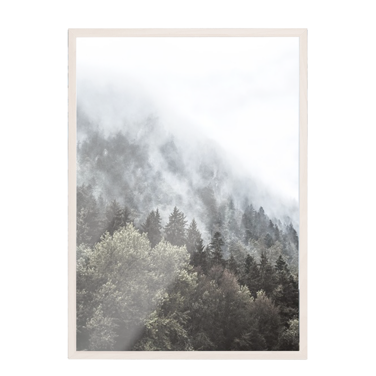 Print Paisaje bosque nublado 266