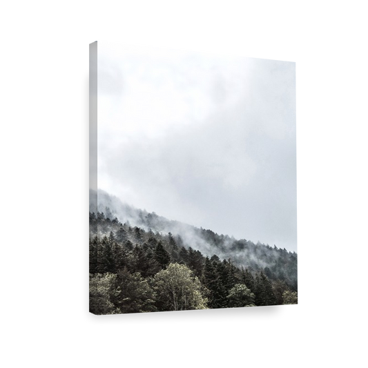 Print Paisaje bosque nublado 267