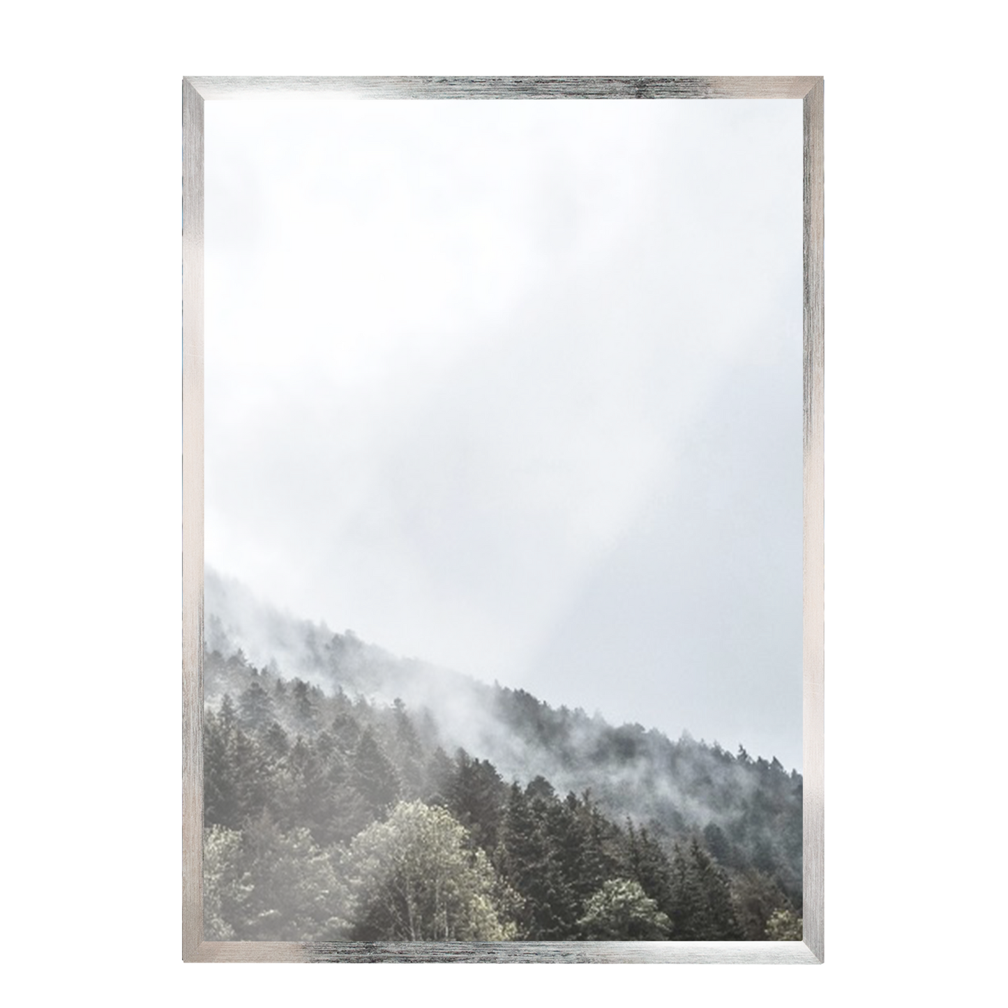 Print Paisaje bosque nublado 267