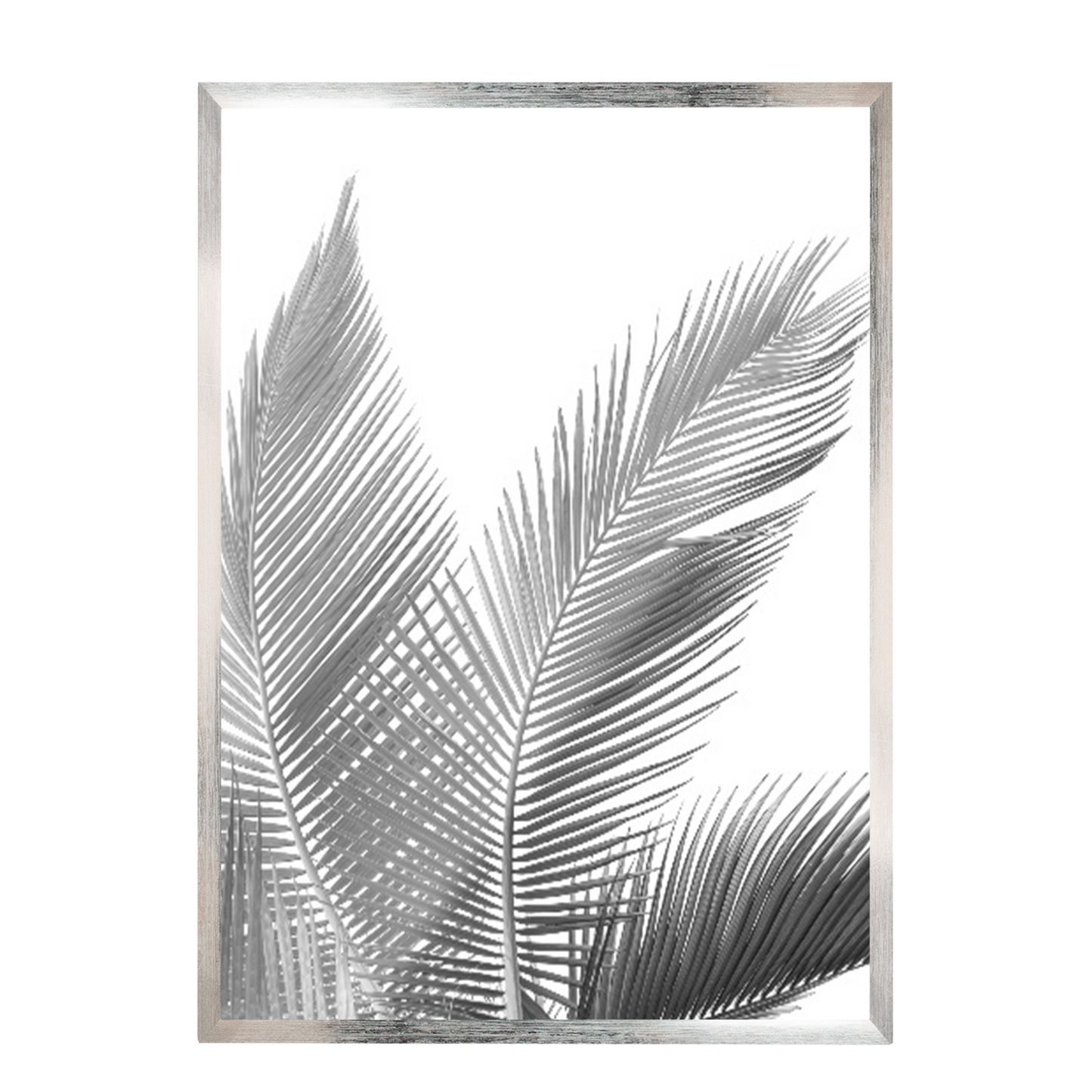 Print palmas blanco negro 270