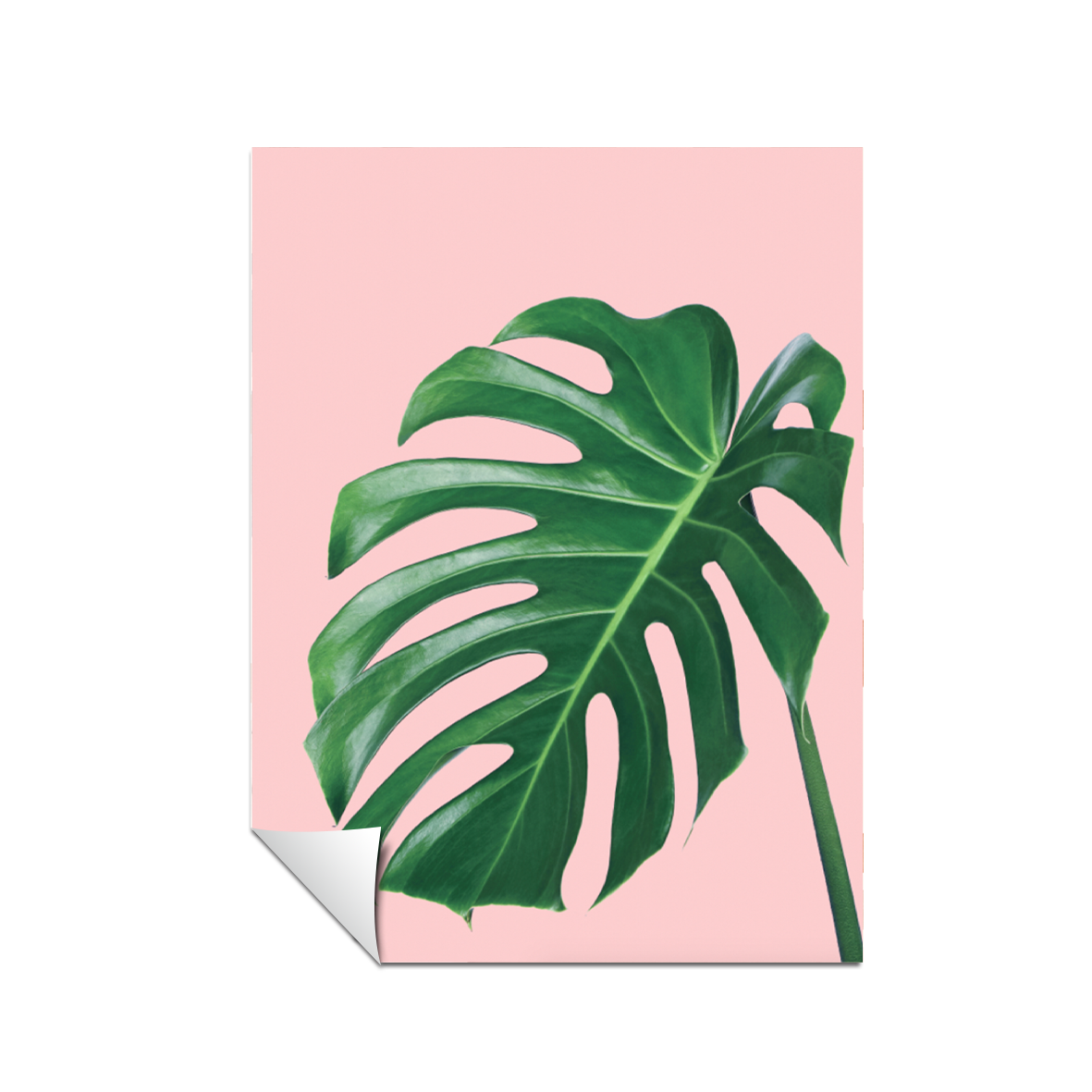 Minimalista hojas 54
