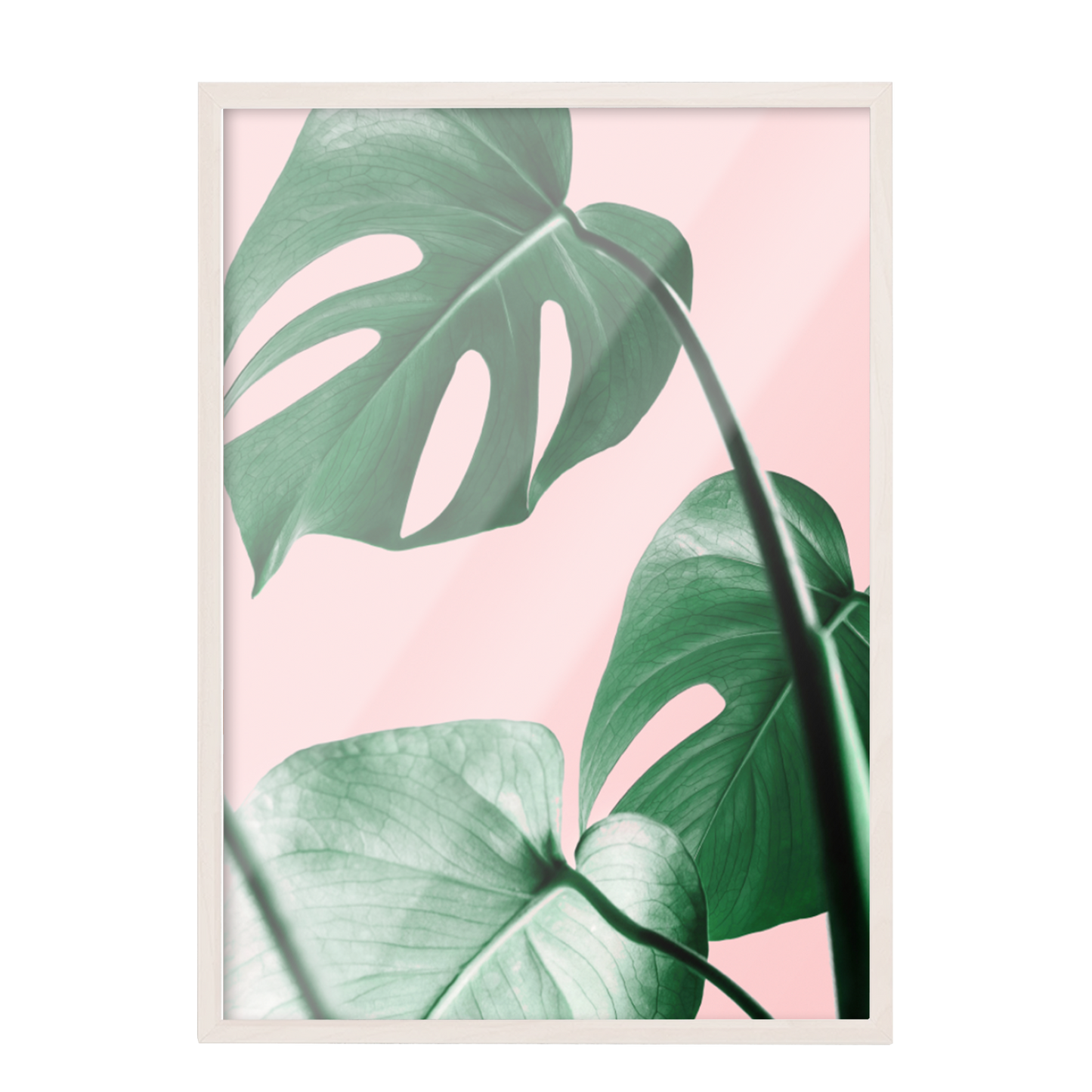 Minimalista hojas 55