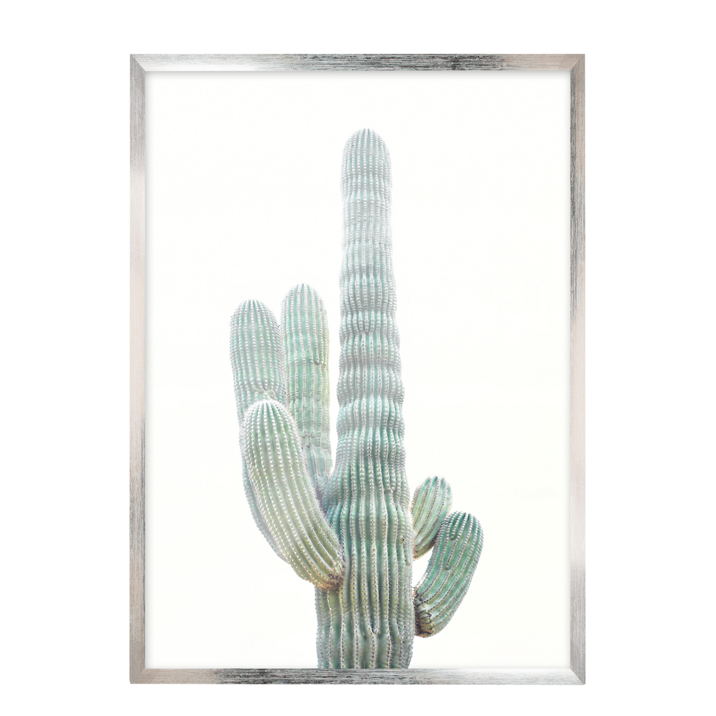 Minimalista cactus 60