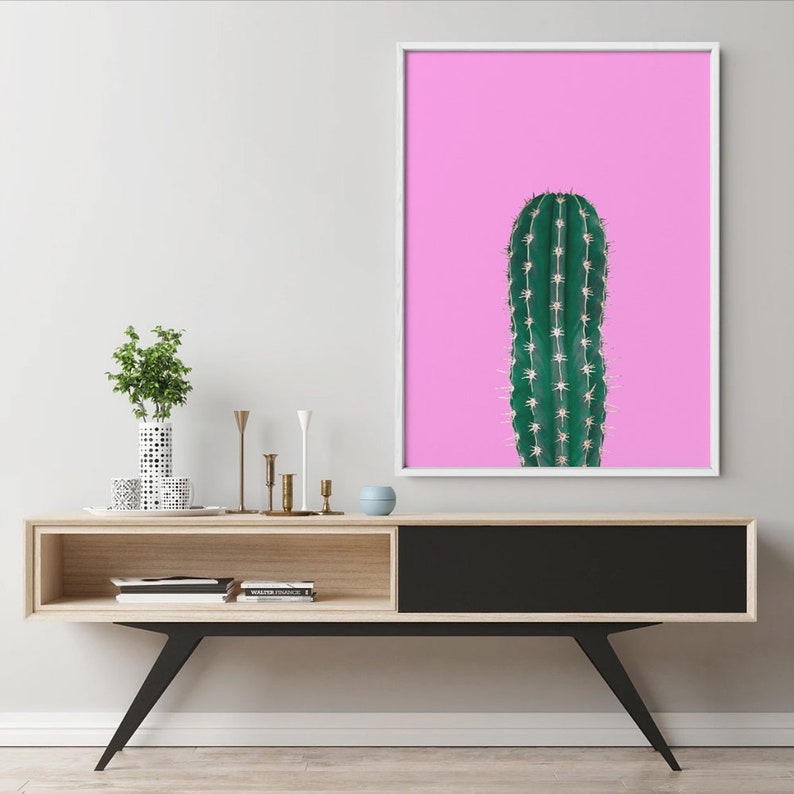 Cactus fondo Fucsia 268