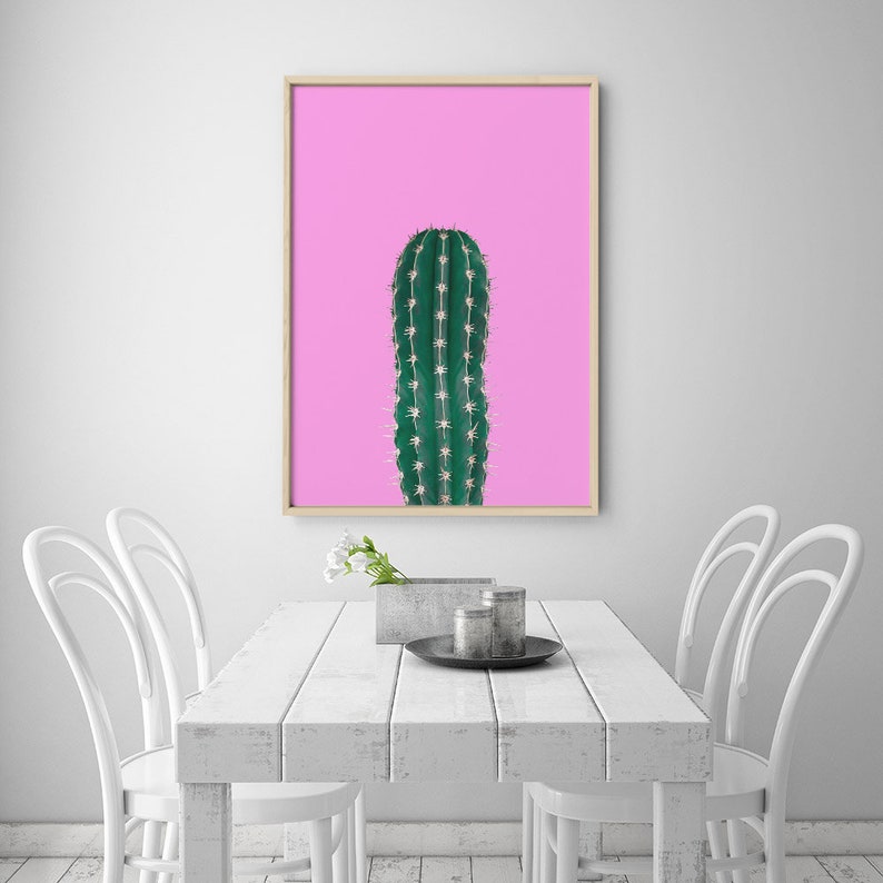 Cactus fondo Fucsia 268