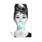 Bubble Gum Audrey Hepburn 129