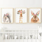 Animales Jirafa Flores decoración 184