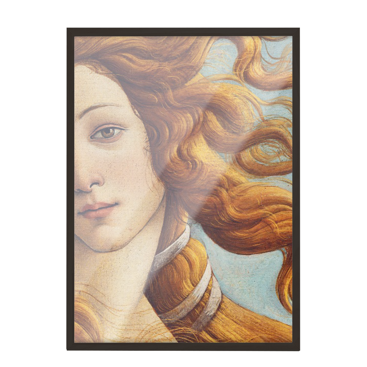 "El nacimiento de Venus" - Sandro Botticelli 241