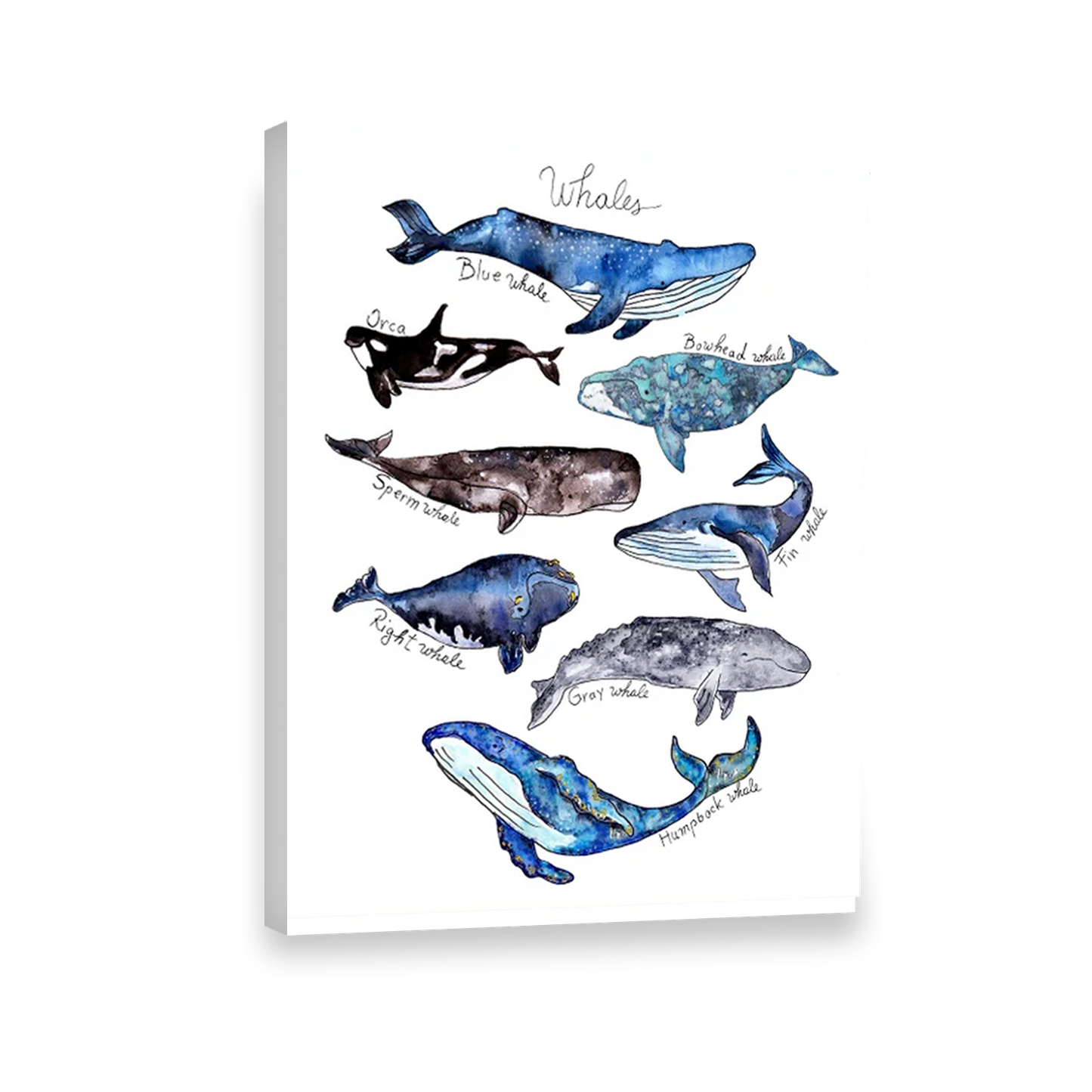 Acuarela Ballenas Mar Azul