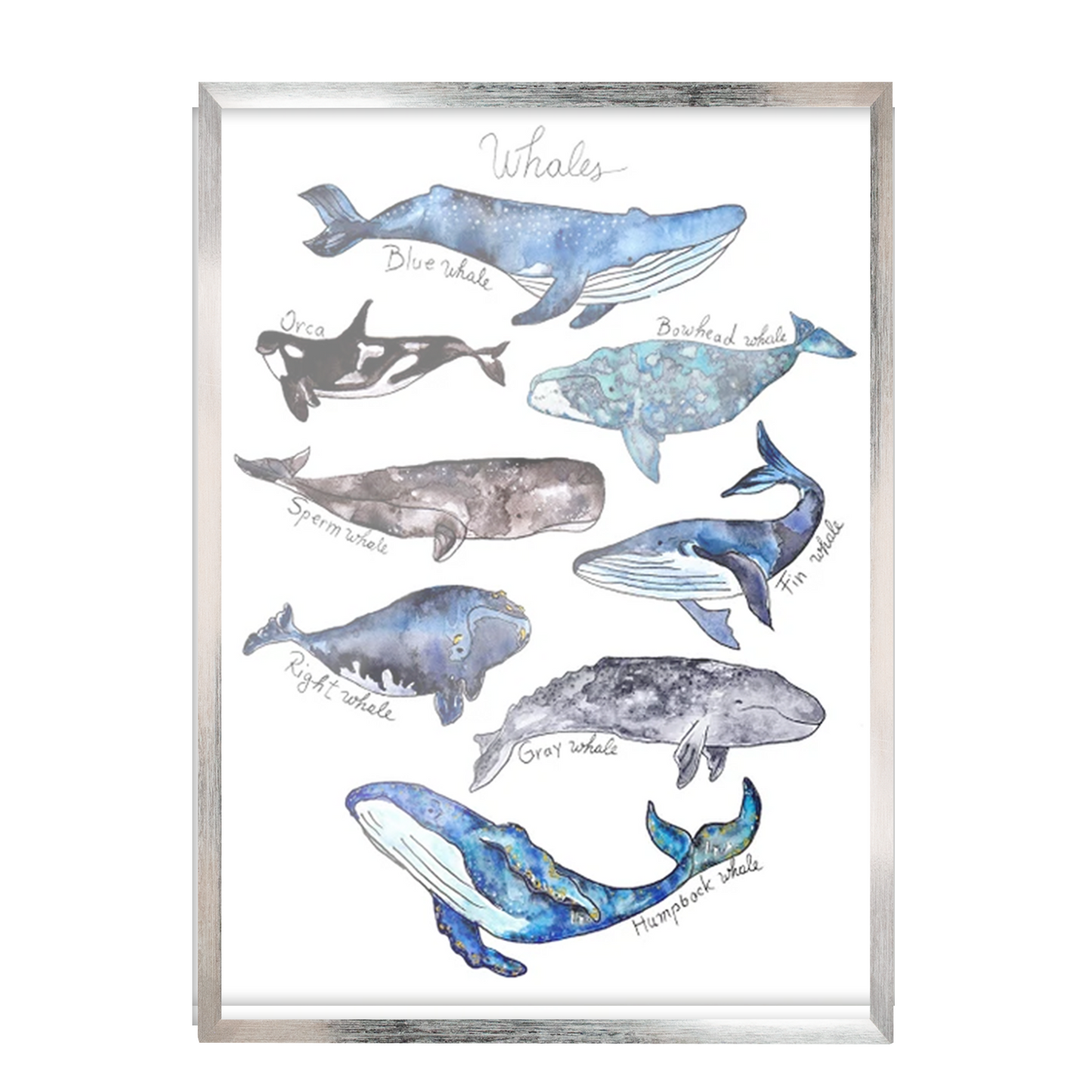 Acuarela Ballenas Mar Azul