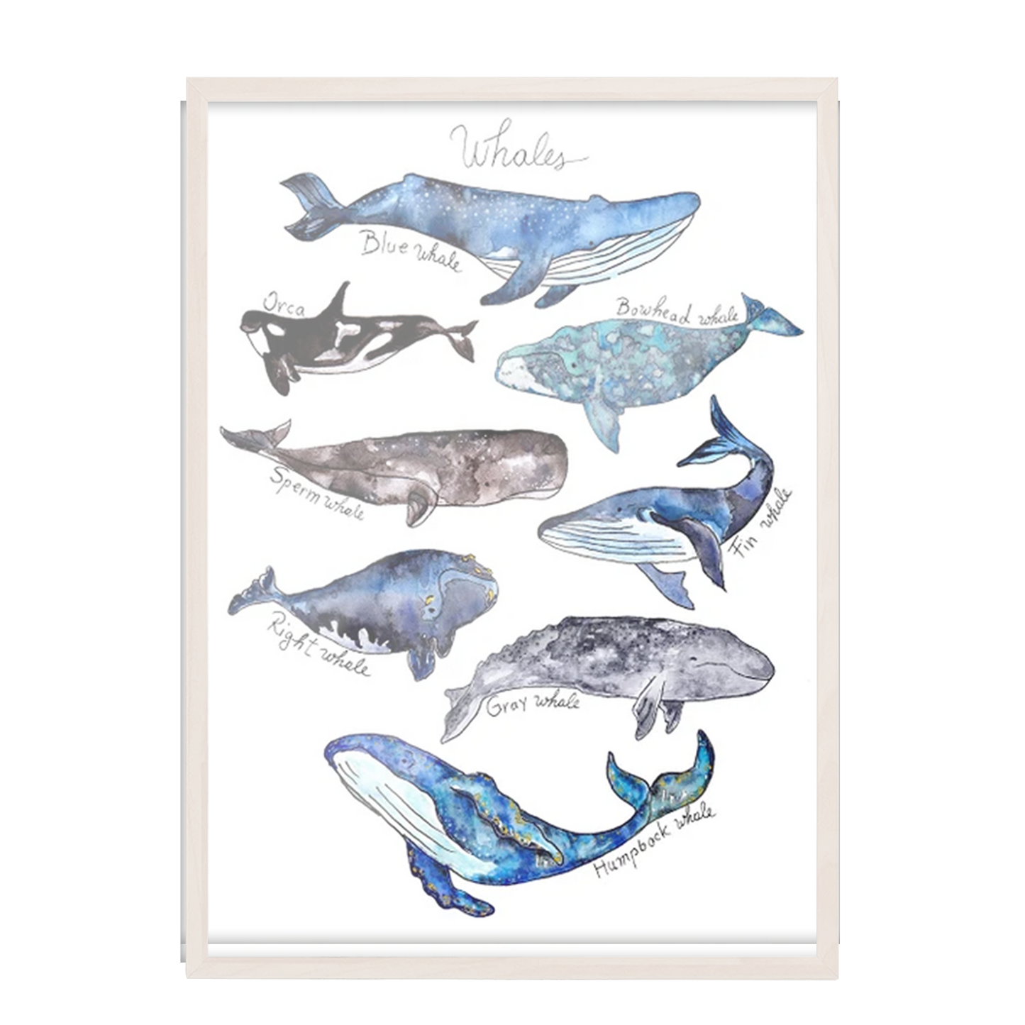 Acuarela Ballenas Mar Azul