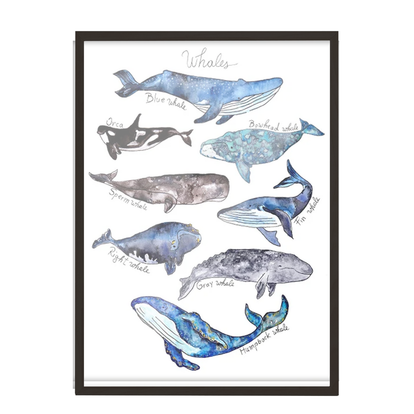 Acuarela Ballenas Mar Azul
