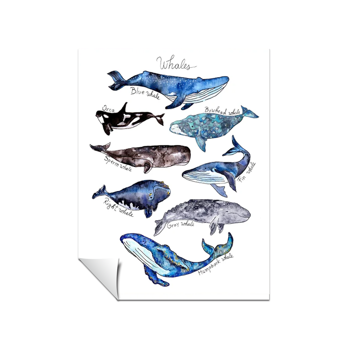 Acuarela Ballenas Mar Azul