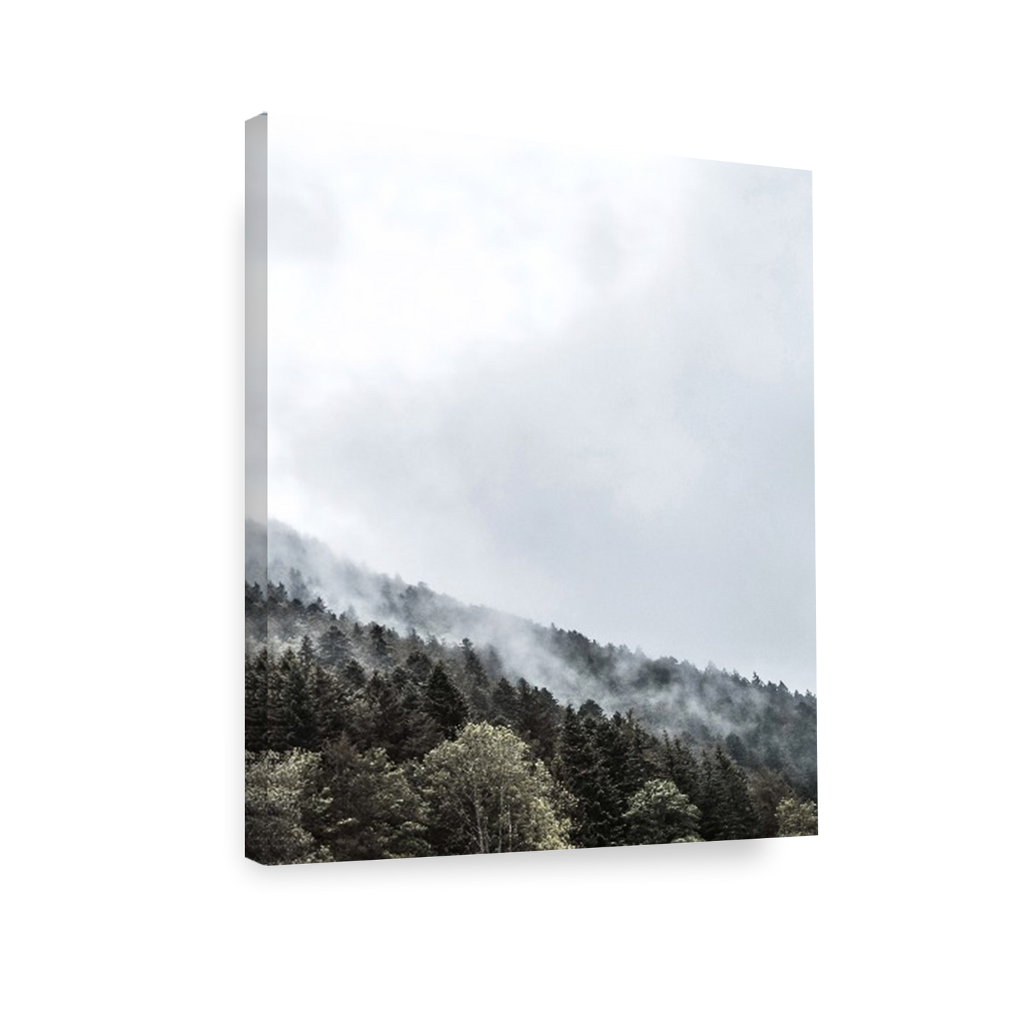 Print Paisaje bosque nublado 267