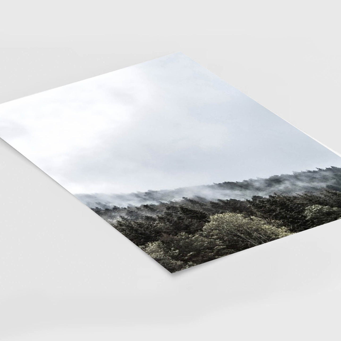 Print Paisaje bosque nublado 267