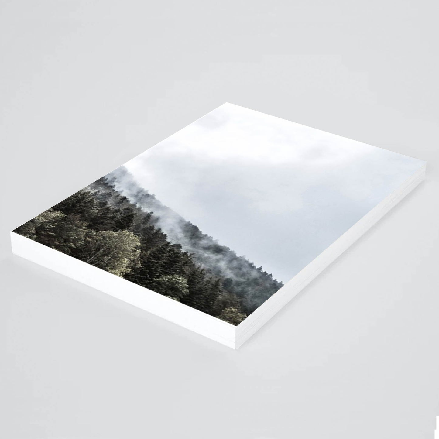 Print Paisaje bosque nublado 267