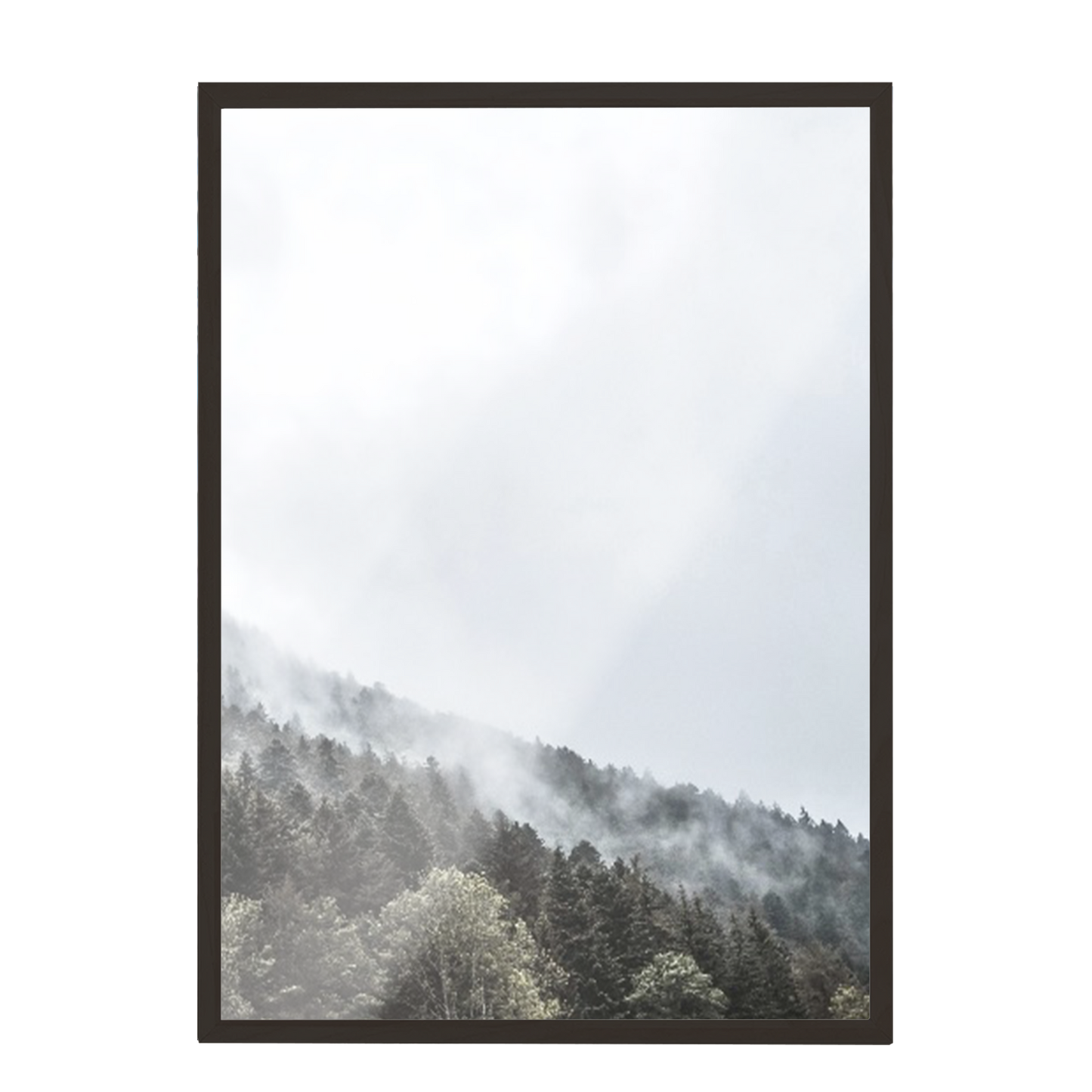 Print Paisaje bosque nublado 267