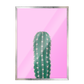 Cactus fondo Fucsia 268