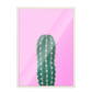 Cactus fondo Fucsia 268