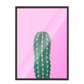 Cactus fondo Fucsia 268
