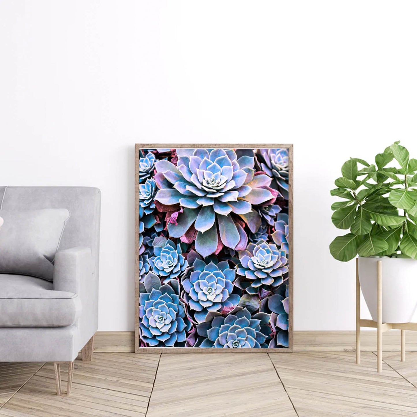 Print Flores Suculentas 269