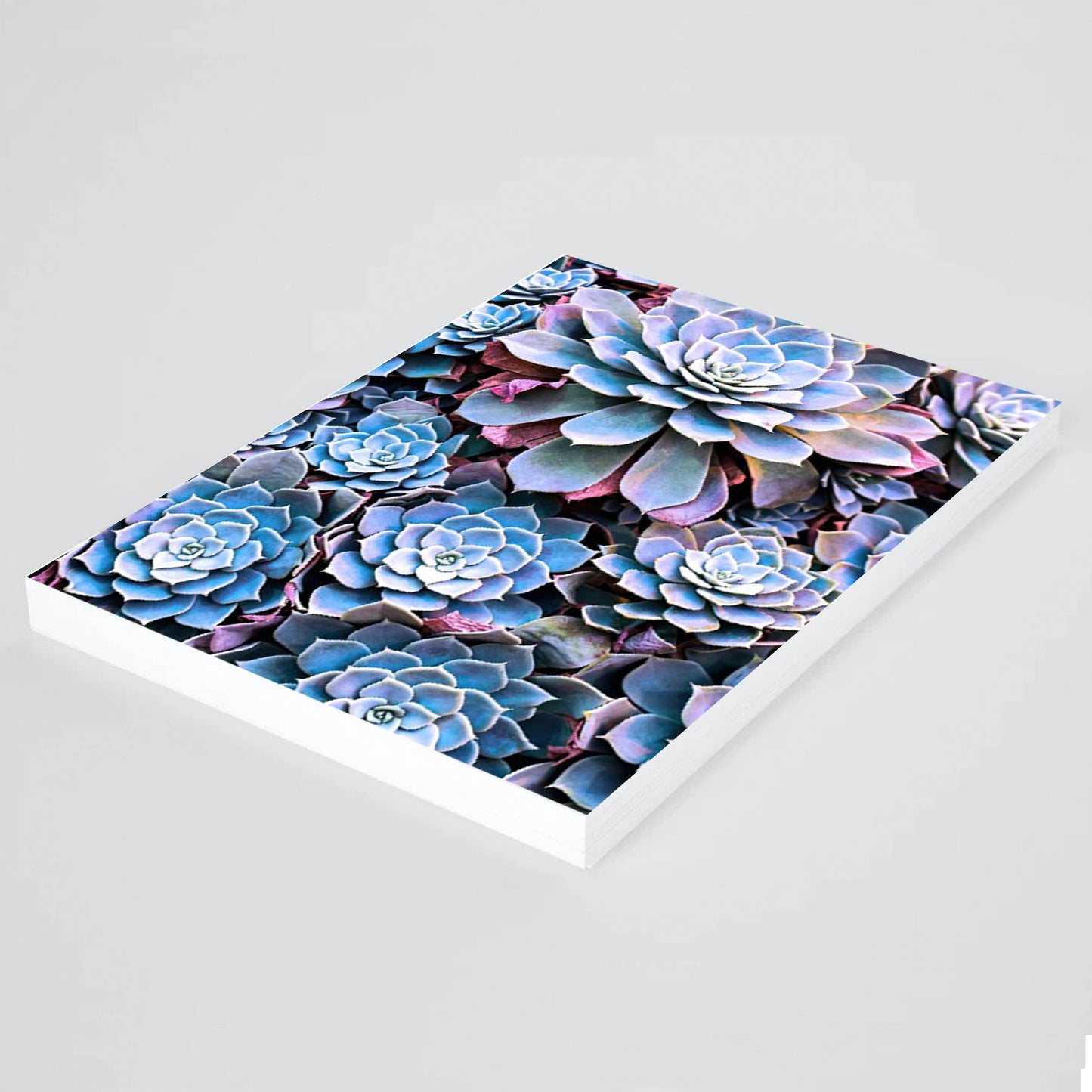 Print Flores Suculentas 269