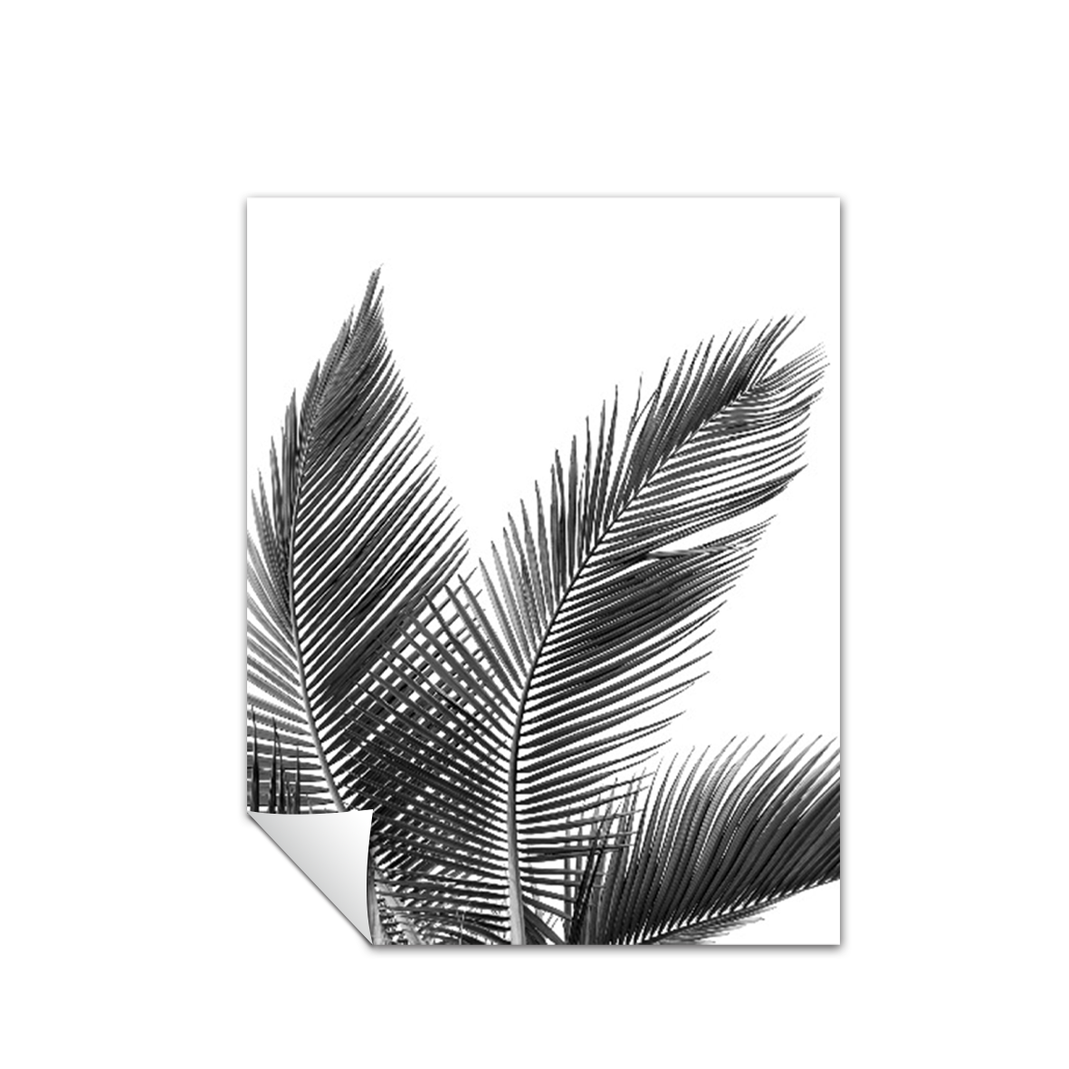Print palmas blanco negro 270