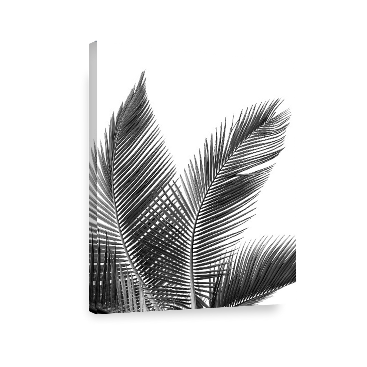 Print palmas blanco negro 270