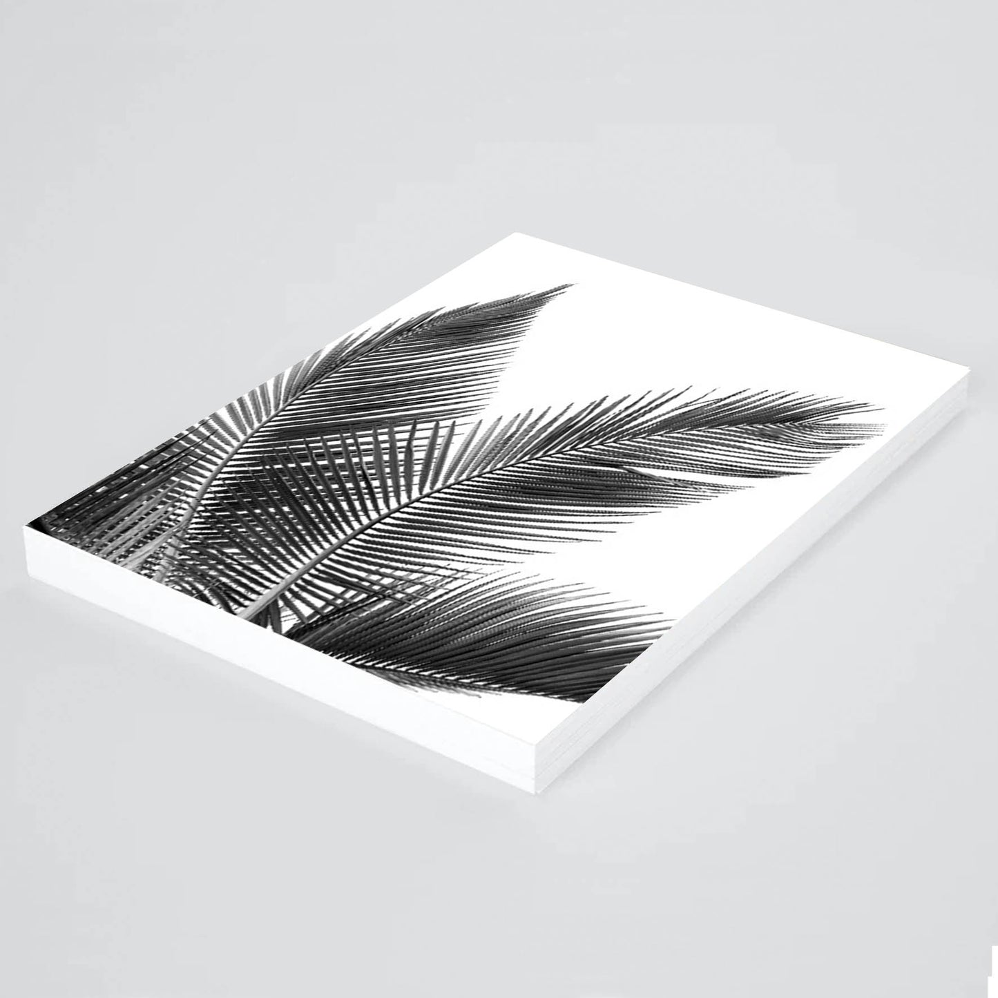 Print palmas blanco negro 270