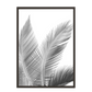 Print palmas blanco negro 270