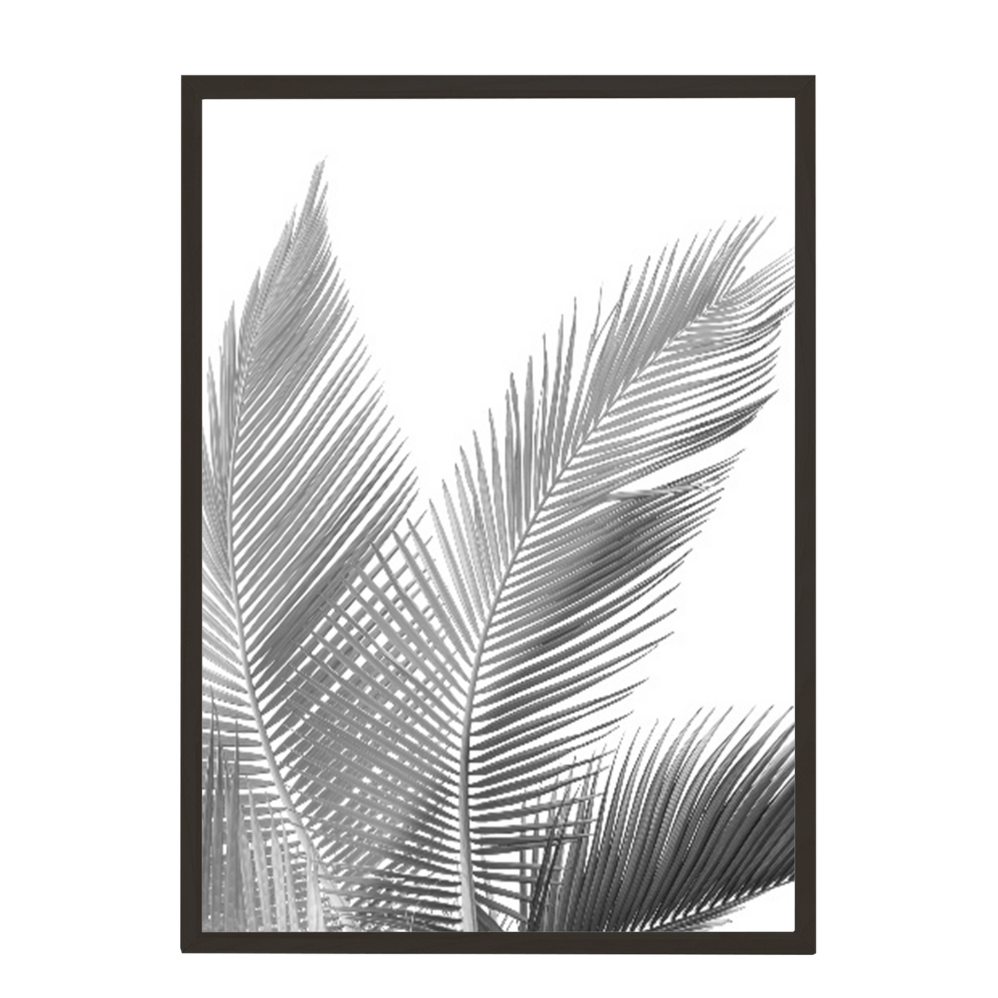 Print palmas blanco negro 270