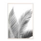 Print palmas blanco negro 270