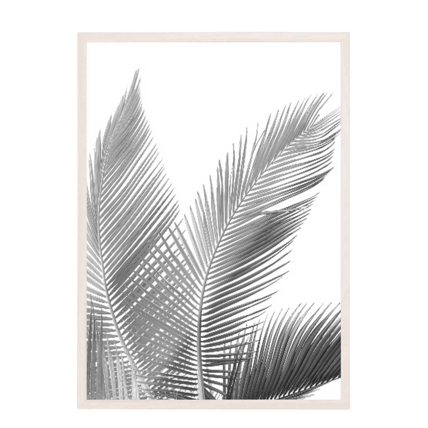Print palmas blanco negro 270