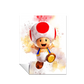Super Mario Nintendo Toad 300