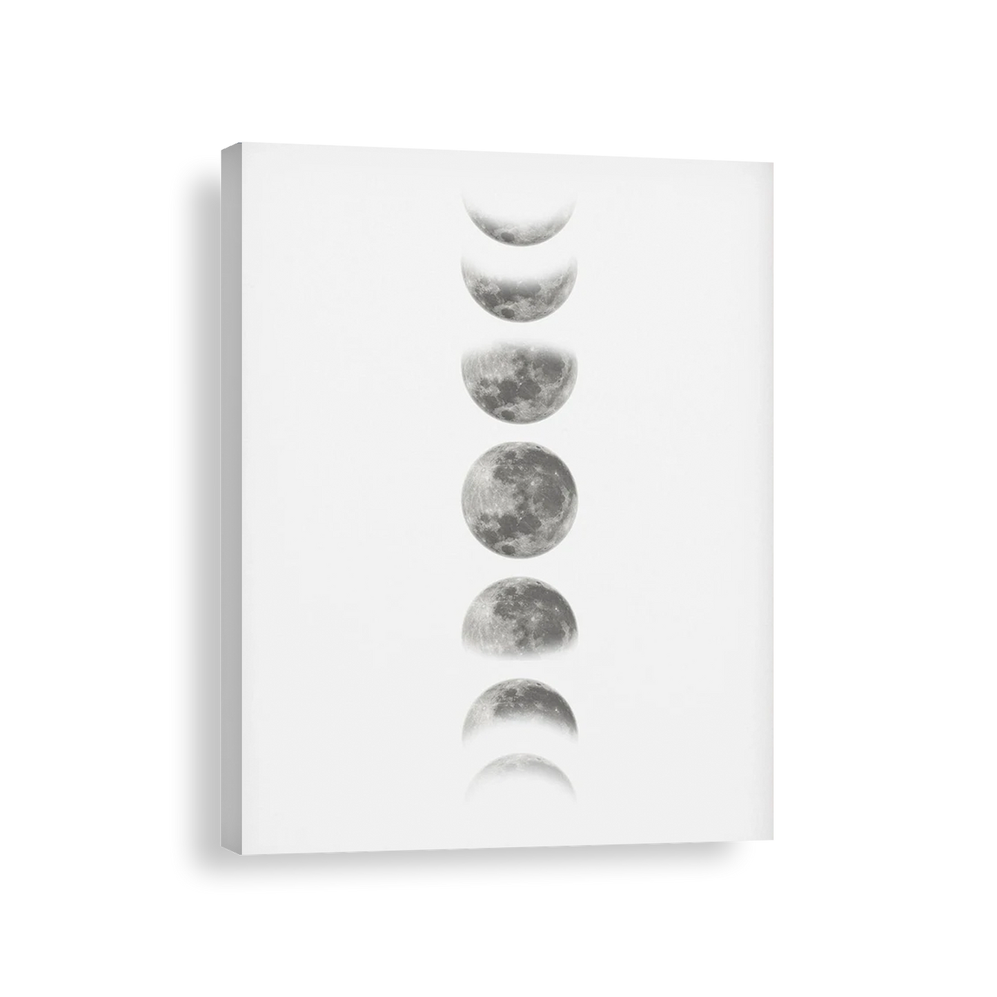 Fases de la luna blanco y negro 325