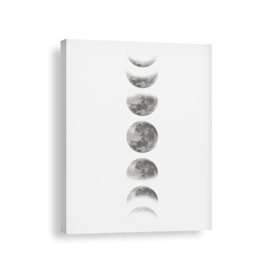 Fases de la luna blanco y negro 325