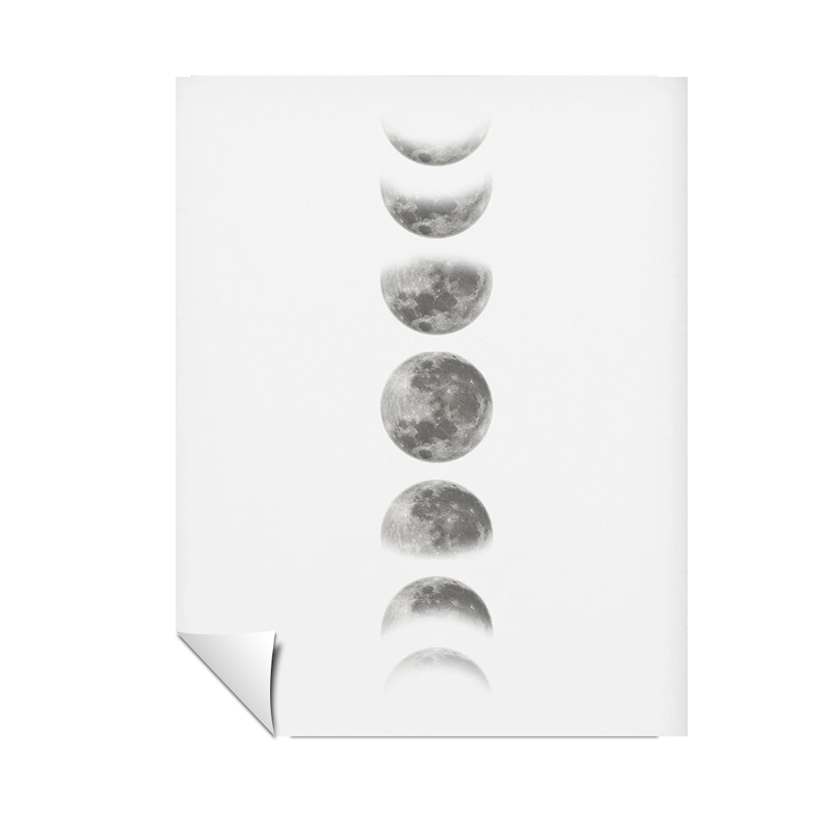 Fases de la luna blanco y negro 325