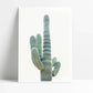 Minimalista cactus 60