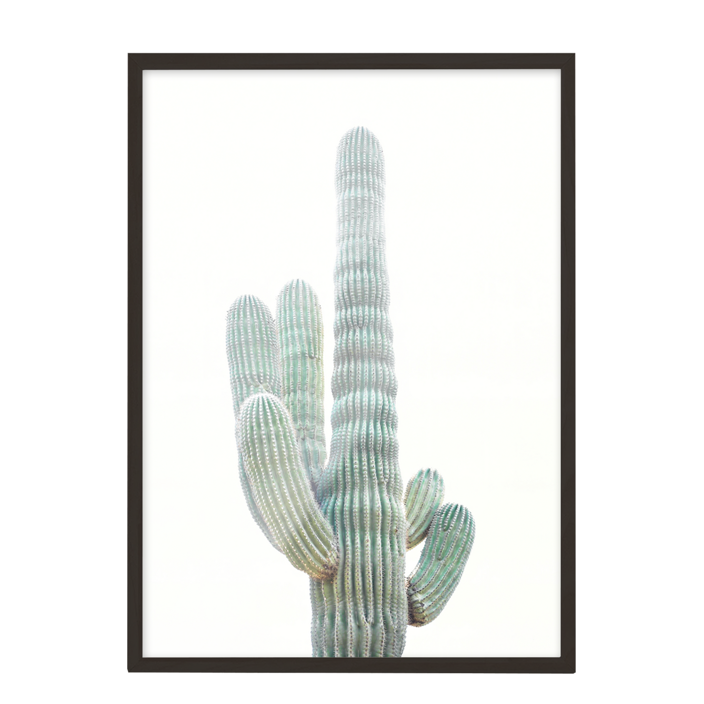 Minimalista cactus 60