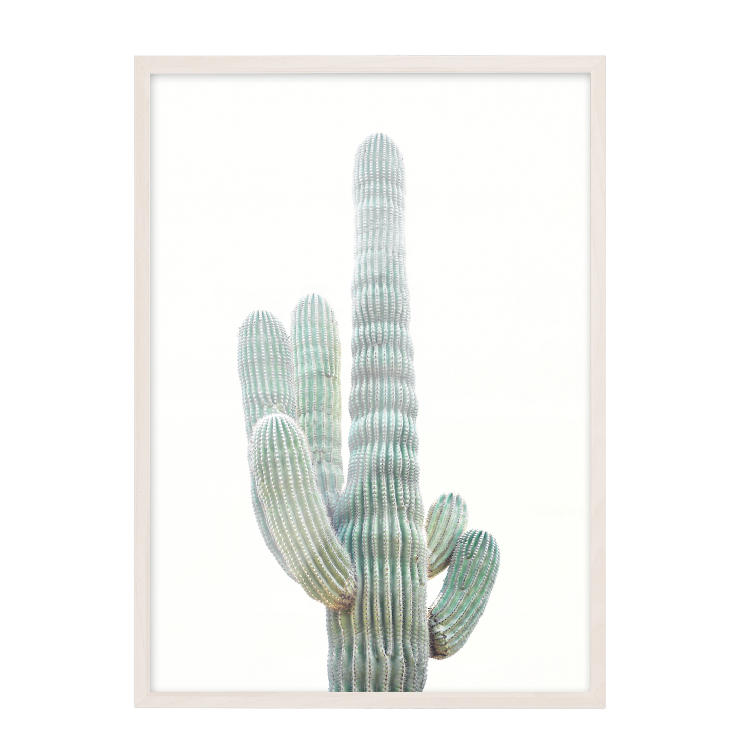 Minimalista cactus 60