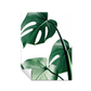 Minimalista palmas 63